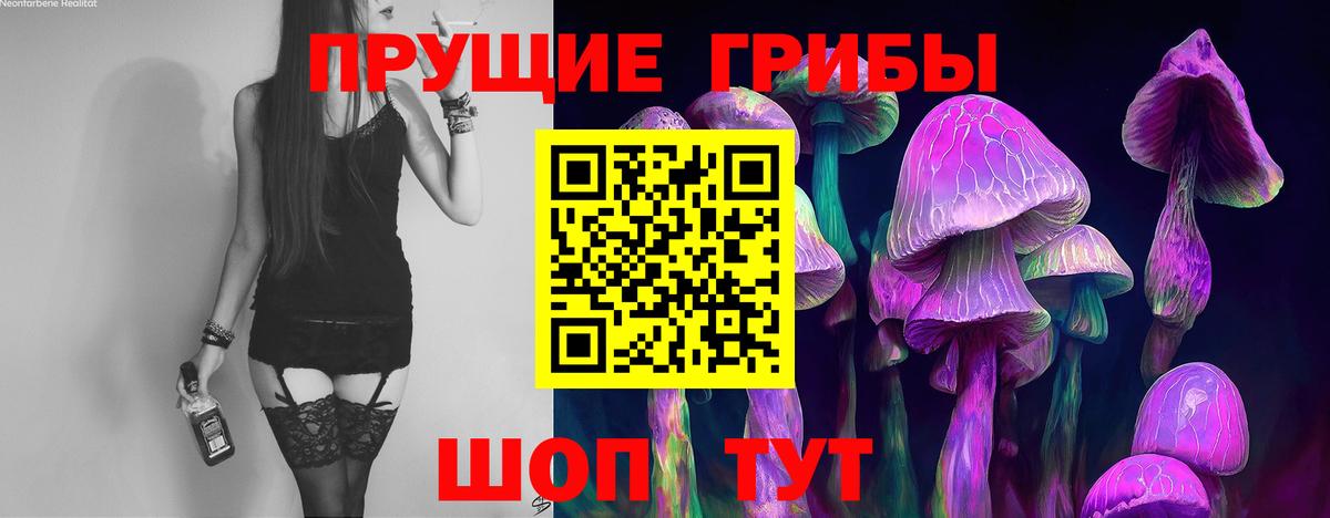 Чистополь  Галлюциногенные грибы ЛСД  Вход с VPN  Галлюциногенные грибы прущие грибы 